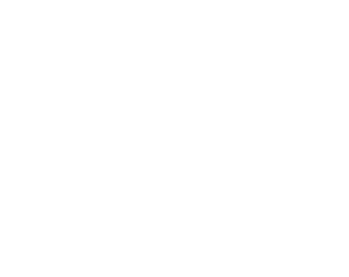 Vixenview Terriers